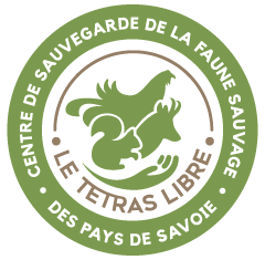 Centre De Sauvegarde Pour La Faune Sauvage Des Pays De Savoie