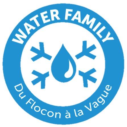 Du Flocon À La Vague