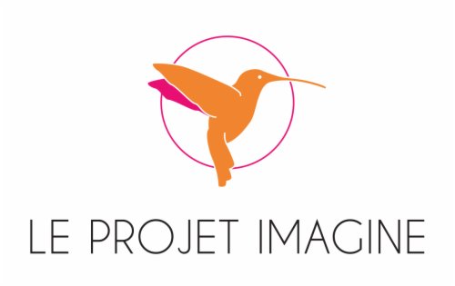 Les Amis Du Projet Imagine