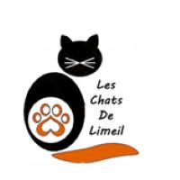 Les Chats De Limeil