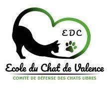 Ecole Du Chat Valence