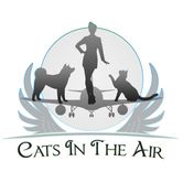 Cats In The Air