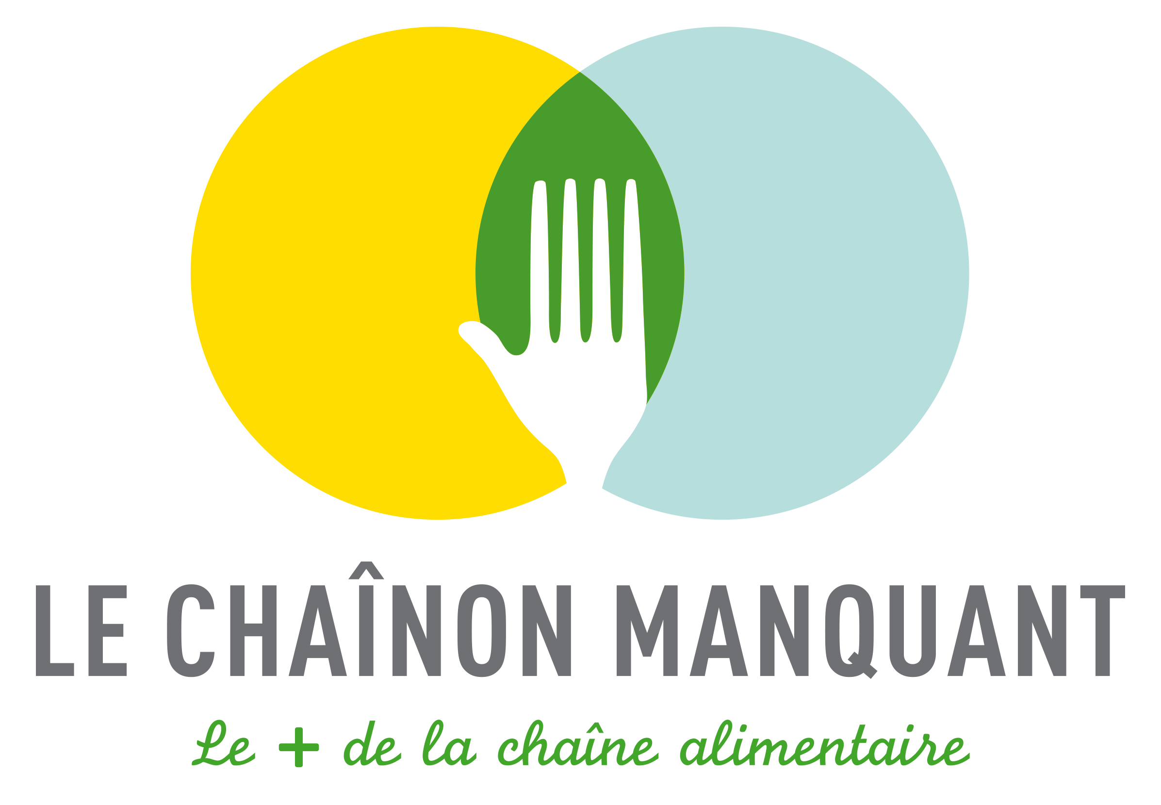 Cropped Logo Chainon Manquant Hd
